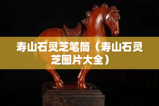 壽山石靈芝筆筒（壽山石靈芝圖片大全）