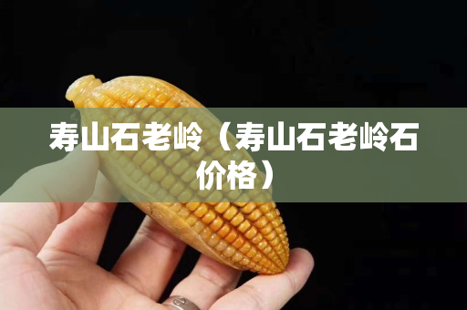 壽山石老嶺（壽山石老嶺石價格）