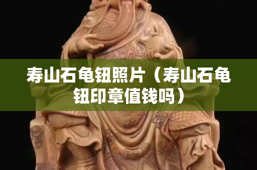 壽山石龜鈕照片（壽山石龜鈕印章值錢(qián)嗎）