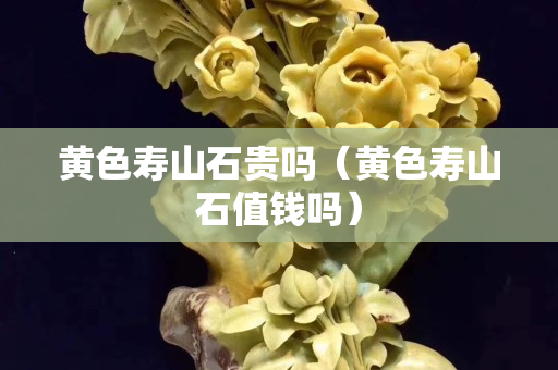 黃色壽山石貴嗎（黃色壽山石值錢嗎）