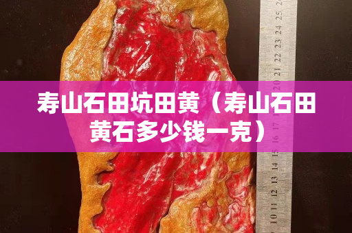 壽山石田坑田黃（壽山石田黃石多少錢一克）