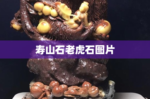 壽山石老虎石圖片
