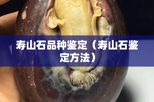 壽山石品種鑒定（壽山石鑒定方法）