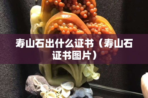 壽山石出什么證書(shū)（壽山石證書(shū)圖片）