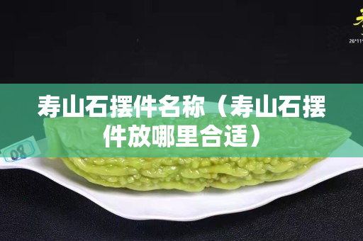 壽山石擺件名稱（壽山石擺件放哪里合適）