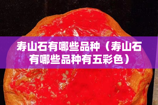壽山石有哪些品種（壽山石有哪些品種有五彩色）
