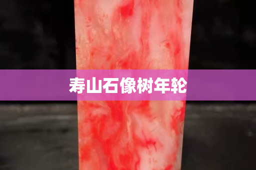 壽山石像樹年輪
