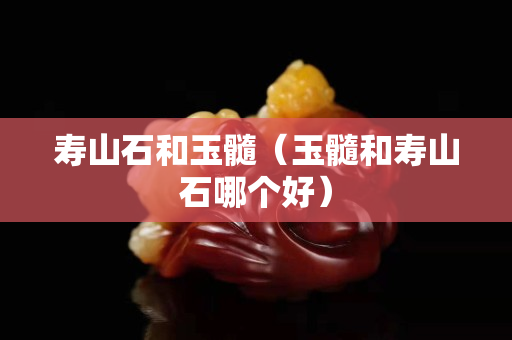 壽山石和玉髓（玉髓和壽山石哪個好）
