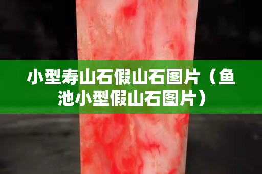 小型壽山石假山石圖片（魚池小型假山石圖片）