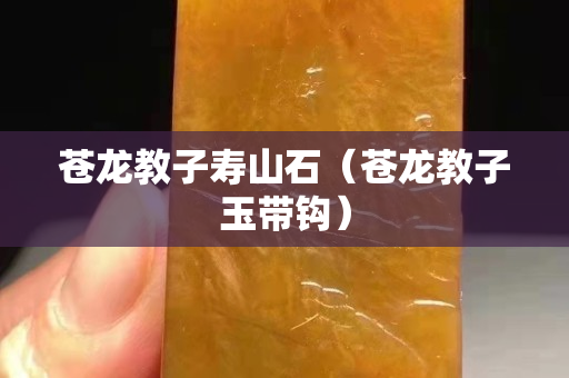 蒼龍教子壽山石（蒼龍教子玉帶鉤）
