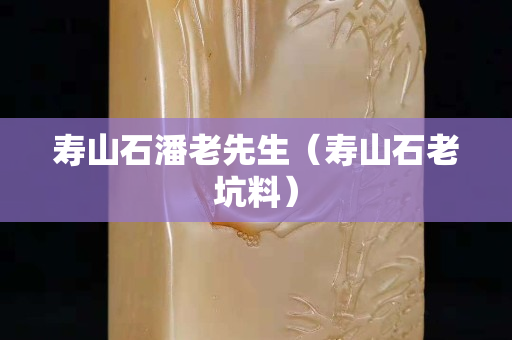 壽山石潘老先生（壽山石老坑料）