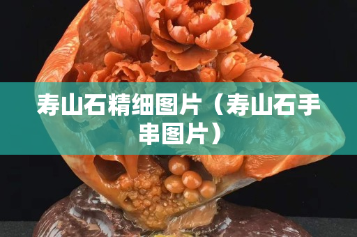 壽山石精細圖片（壽山石手串圖片）