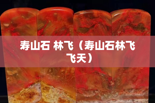 壽山石 林飛（壽山石林飛 飛天）