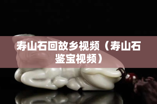壽山石回故鄉(xiāng)視頻（壽山石鑒寶視頻）