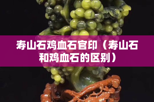 壽山石雞血石官印（壽山石和雞血石的區(qū)別）