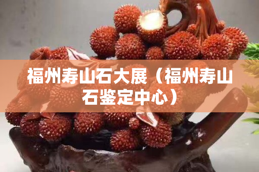 福州壽山石大展（福州壽山石鑒定中心）