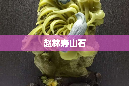 趙林壽山石