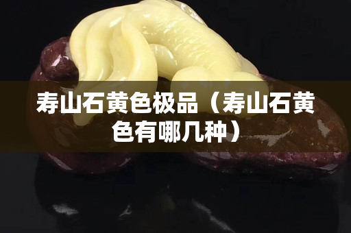壽山石黃色極品（壽山石黃色有哪幾種）
