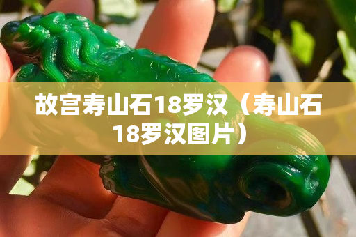 故宮壽山石18羅漢（壽山石18羅漢圖片）