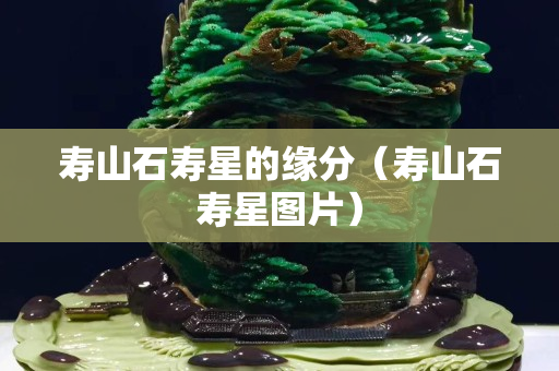 壽山石壽星的緣分（壽山石壽星圖片）