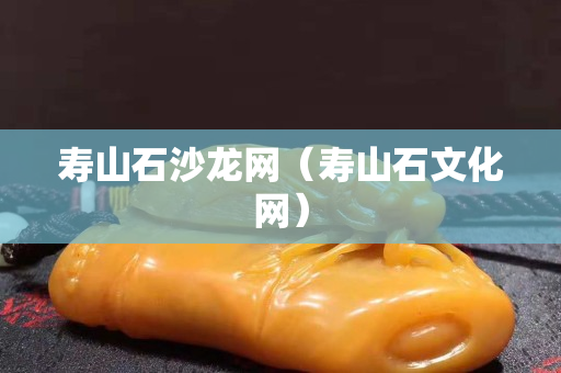 壽山石沙龍網（壽山石文化網）