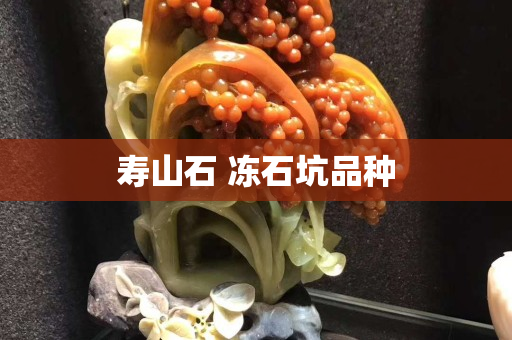 壽山石 凍石坑品種