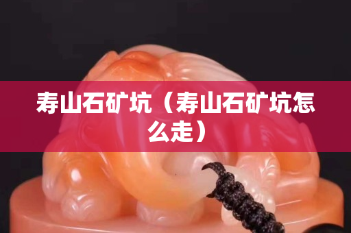 壽山石礦坑（壽山石礦坑怎么走）