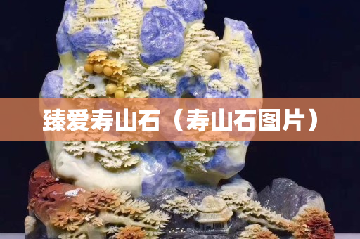 臻愛壽山石（壽山石圖片）