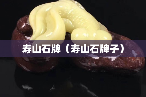 壽山石牌（壽山石牌子）
