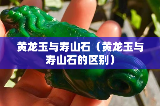 黃龍玉與壽山石（黃龍玉與壽山石的區別）