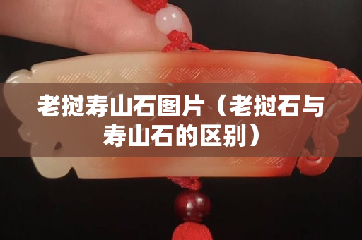 老撾壽山石圖片（老撾石與壽山石的區別）