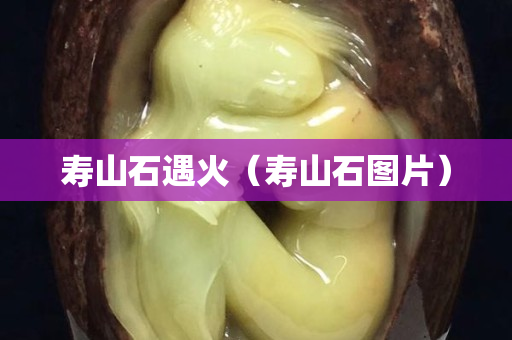 壽山石遇火（壽山石圖片）