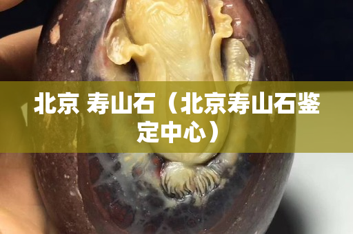 北京 壽山石（北京壽山石鑒定中心）