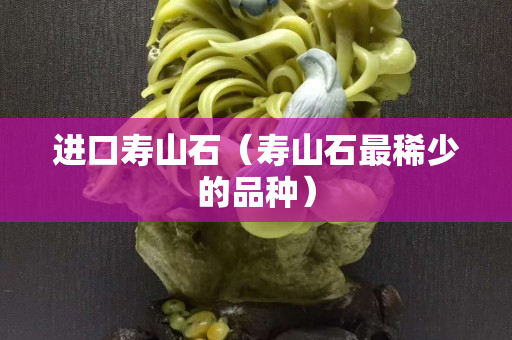 進口壽山石（壽山石最稀少的品種）
