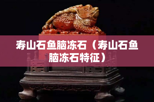 壽山石魚腦凍石（壽山石魚腦凍石特征）
