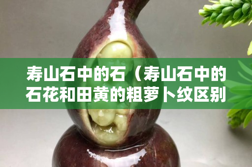 壽山石中的石（壽山石中的石花和田黃的粗蘿卜紋區別）