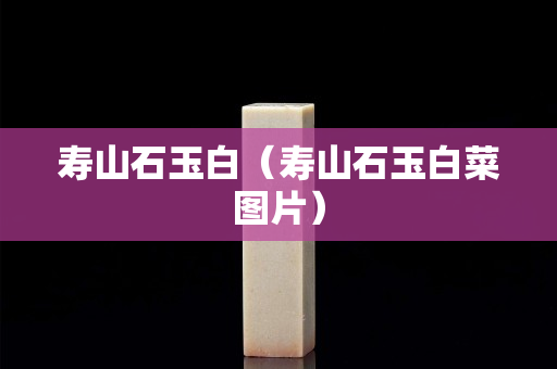 壽山石玉白（壽山石玉白菜圖片）