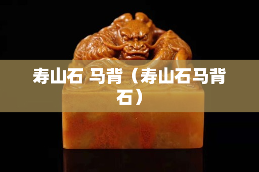 壽山石 馬背（壽山石馬背石）