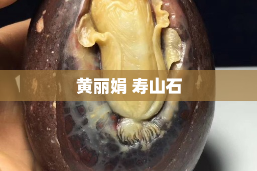 黃麗娟 壽山石