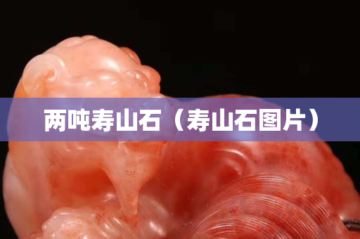 兩噸壽山石（壽山石圖片）