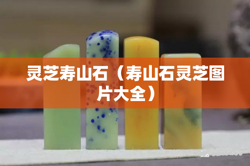 靈芝壽山石（壽山石靈芝圖片大全）