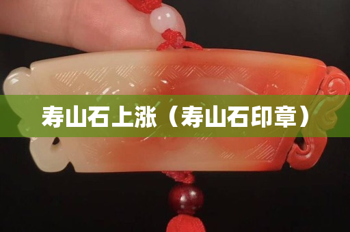 壽山石上漲（壽山石印章）