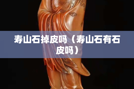壽山石掉皮嗎（壽山石有石皮嗎）