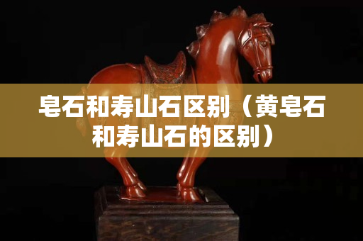 皂石和壽山石區別（黃皂石和壽山石的區別）