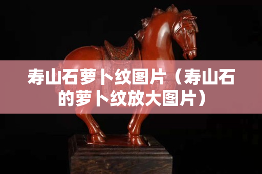 壽山石蘿卜紋圖片（壽山石的蘿卜紋放大圖片）