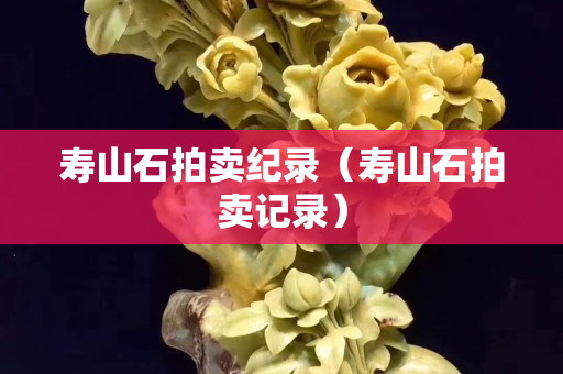 壽山石拍賣紀錄（壽山石拍賣記錄）