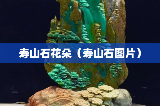 壽山石花朵（壽山石圖片）