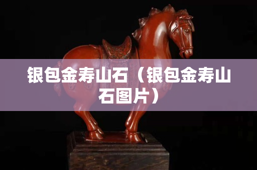 銀包金壽山石（銀包金壽山石圖片）