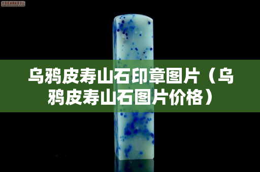 烏鴉皮壽山石印章圖片（烏鴉皮壽山石圖片價格）