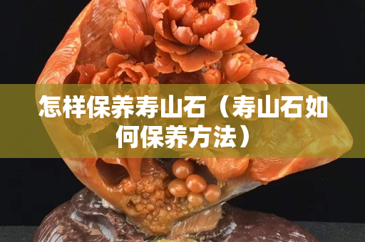 怎樣保養壽山石（壽山石如何保養方法）